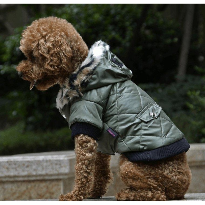 Cozy Canine Couture: Stylish Autumn And Winter Fur Collar Dog Coat