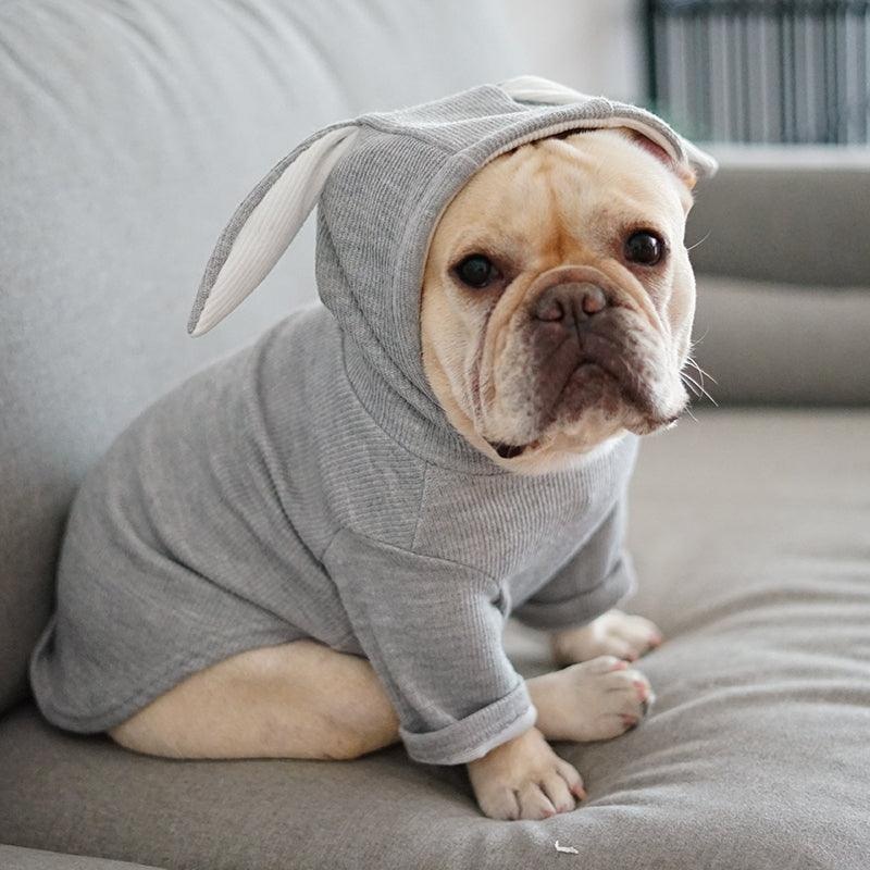 Cozy Canine Spring And Autumn Sweater