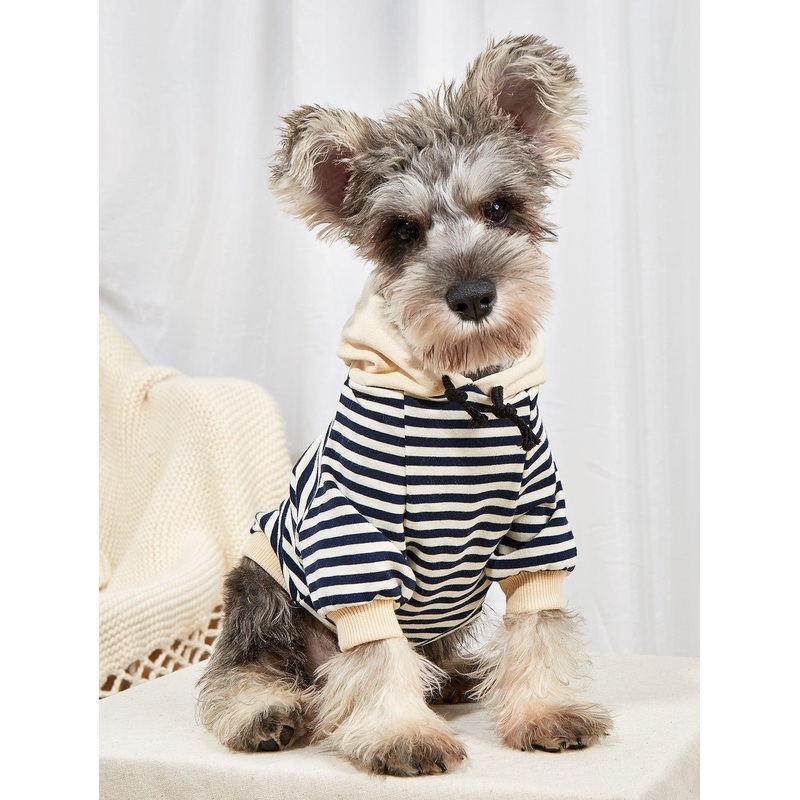 Cozy Canine Striped Hooded Sweater - Fashionable Pet Apparel