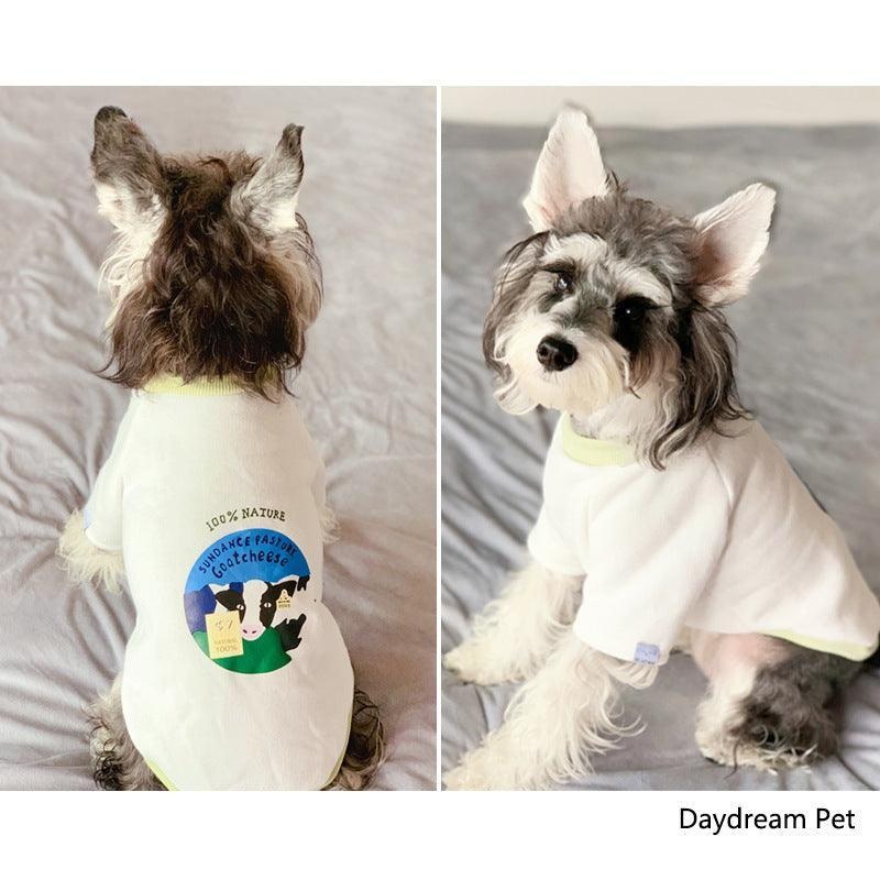 Cozy Cow Sweater For Petite Feline Friends - Spring And Autumn Edition