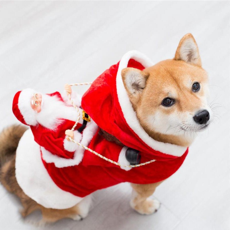 Festive Green Elf Pet Dog Christmas Costume