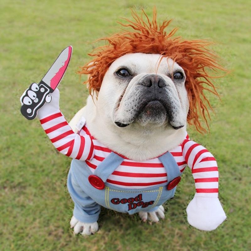 Halloween Pet Costume: The Ultimate Dog Cosplay Ensemble