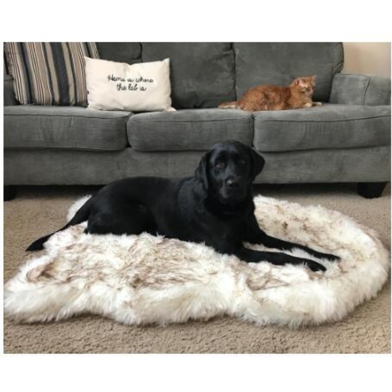 Luxurious Plush Pet Snuggle Blanket
