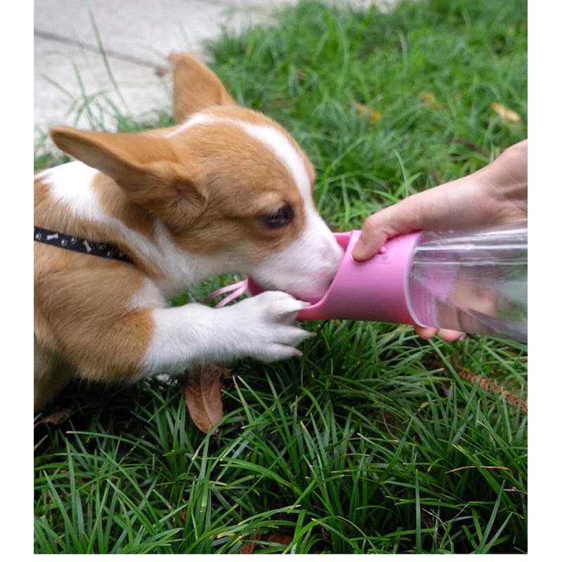 Portable Pet Water Bottle - The Ultimate Travel Companion For Your Furry Friend