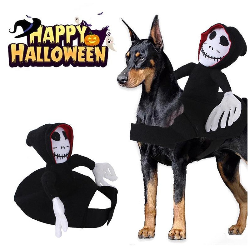 Scary Spider Rider Pet Halloween Costume