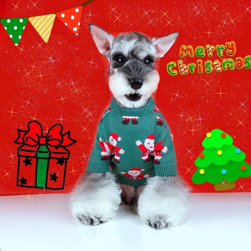 Schnauzer Teddy Winter Christmas Sweater - Festive Santa Claus Green Pet Sweater