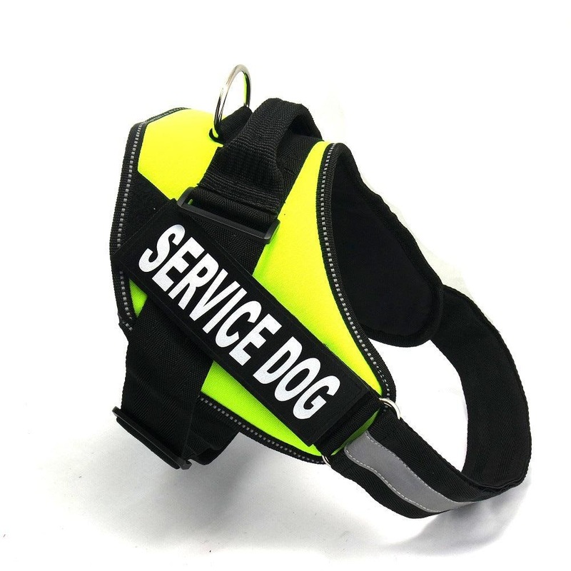 Scientific Comfort Dog Chest Strap: The Ultimate Solution For Health And Comfort