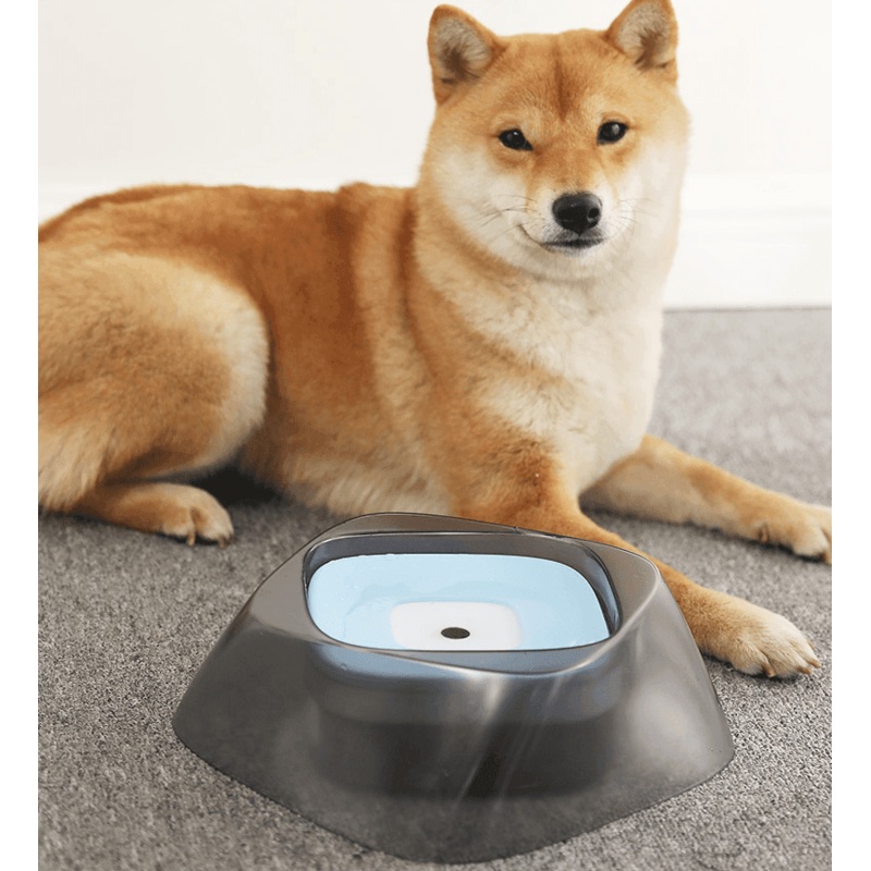 Splashguard Pet Water Bowl