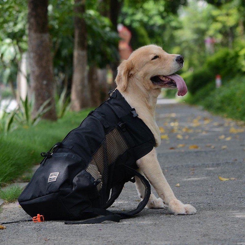 Venturepaws Ventilated Pet Adventure Backpack