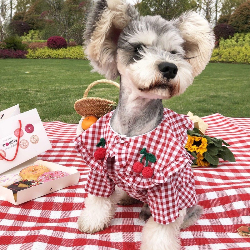 Checkered Summer Dog Shirt: Stylish And Breathable For Small Dogs