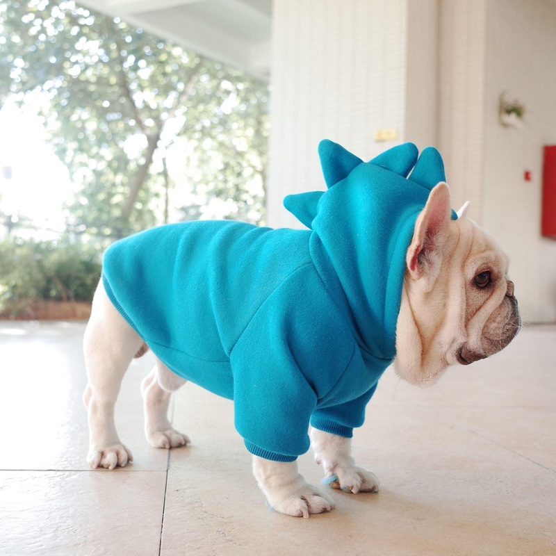 Cozy Canine Fleece Hoodie
