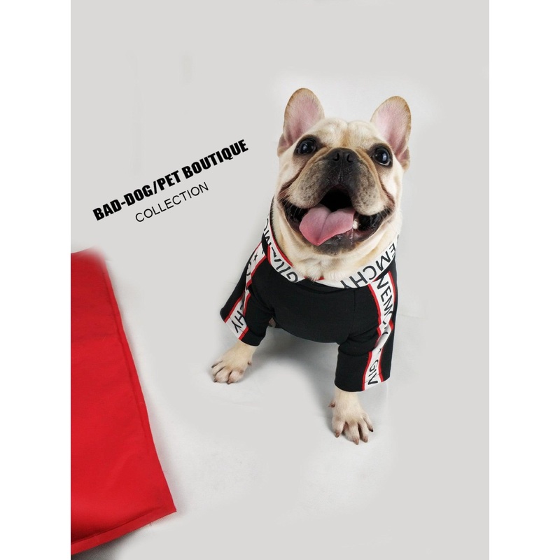 Cozy Canine Spring Sweater