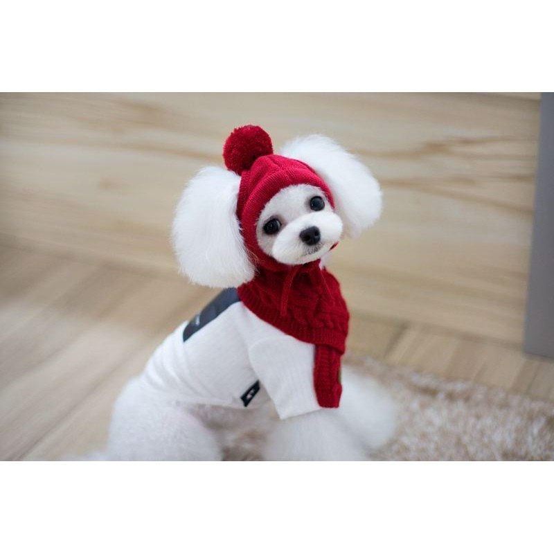 Cozy Canine Winter Ensemble: Dog Hat, Bib, Suit, And Scarf Set