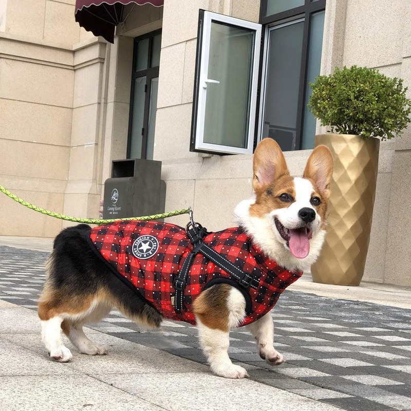 Cozy Canine Winterwear: Waterproof Reflective Tape Dog Jacket