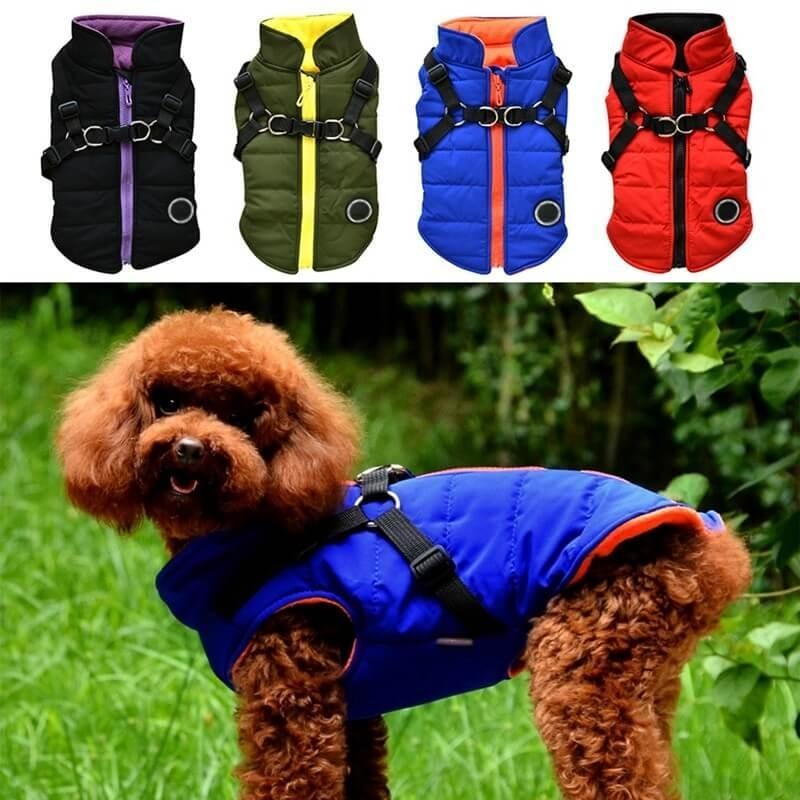 Cozy Canine Zip-Up Jacket