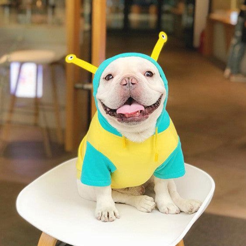 Cozy Cotton Pet Sweater In Yellow-Green Color Blocking
