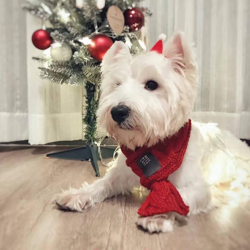 Cozy Woolen Pet Scarf: Stylish Warmth For Your Furry Friend