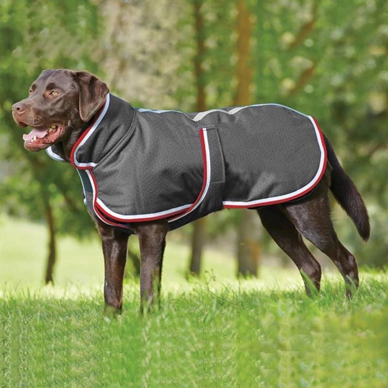 Cozypaws Waterproof Pet Jacket: The Ultimate Autumn And Winter Essential For Your Furry Friend