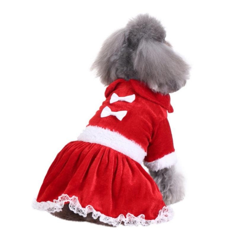 Festive Canine Couture: Christmas Dog Costume Collection