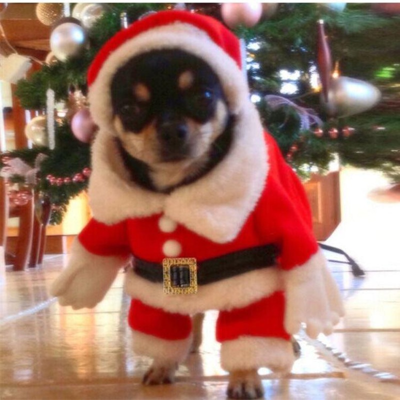 Festive Furry Friend Christmas Costume