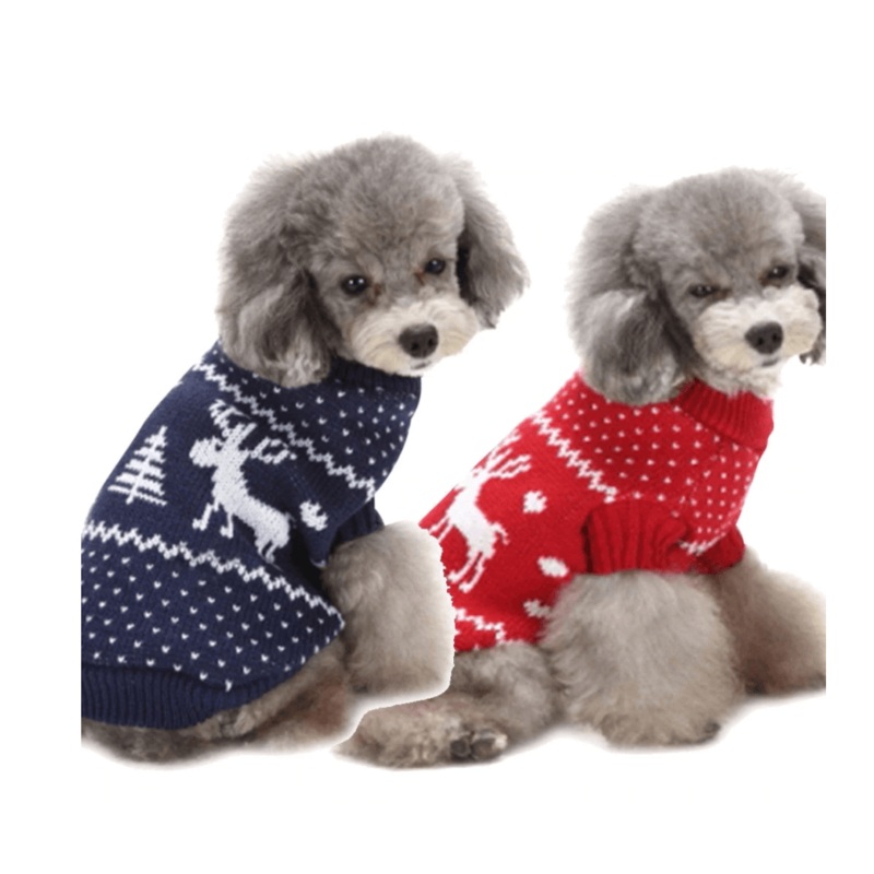 Festive Holiday Pet Sweater - Blue And Red Christmas Reindeer Design