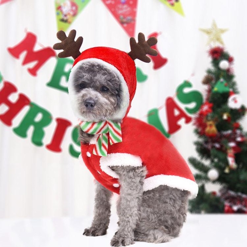 Festive Pet Holiday Costume - Santa Elk Winter Sweater