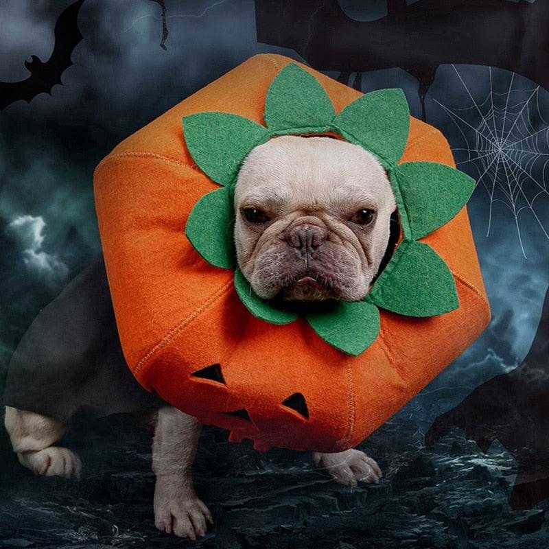 Halloween Pumpkin Pup Collar: Adorable Pet Cosplay Accessory For A Spooktacular Look!