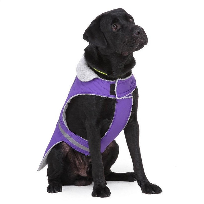 Night Glow Pet Winter Coat
