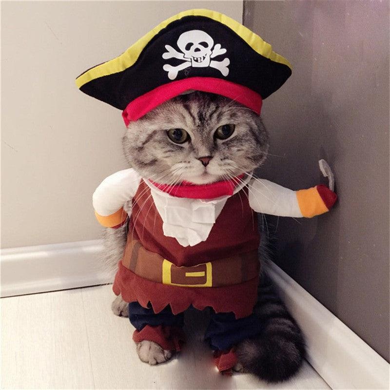 Pirate Paw-Fect Pet Costume: Transform Your Furry Friend Into A Teddy Pirate!