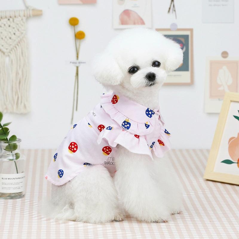 Spring Fling Pet Apparel
