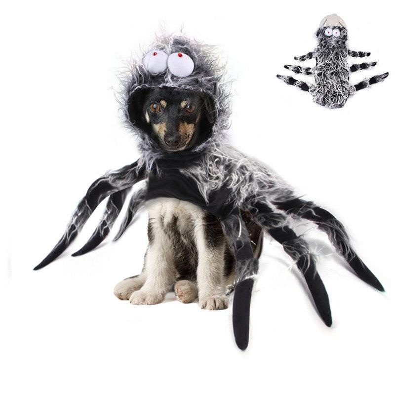 Transforming Pet Costume: Creative Cats, Dogs, And Large Dogs Unleash Their Inner Characters