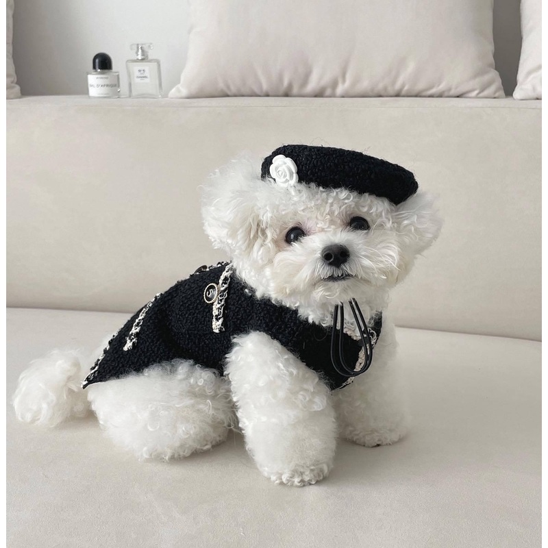 Cozy Knit Pet Hat - Stylish And Warm Headwear For Dogs And Cats