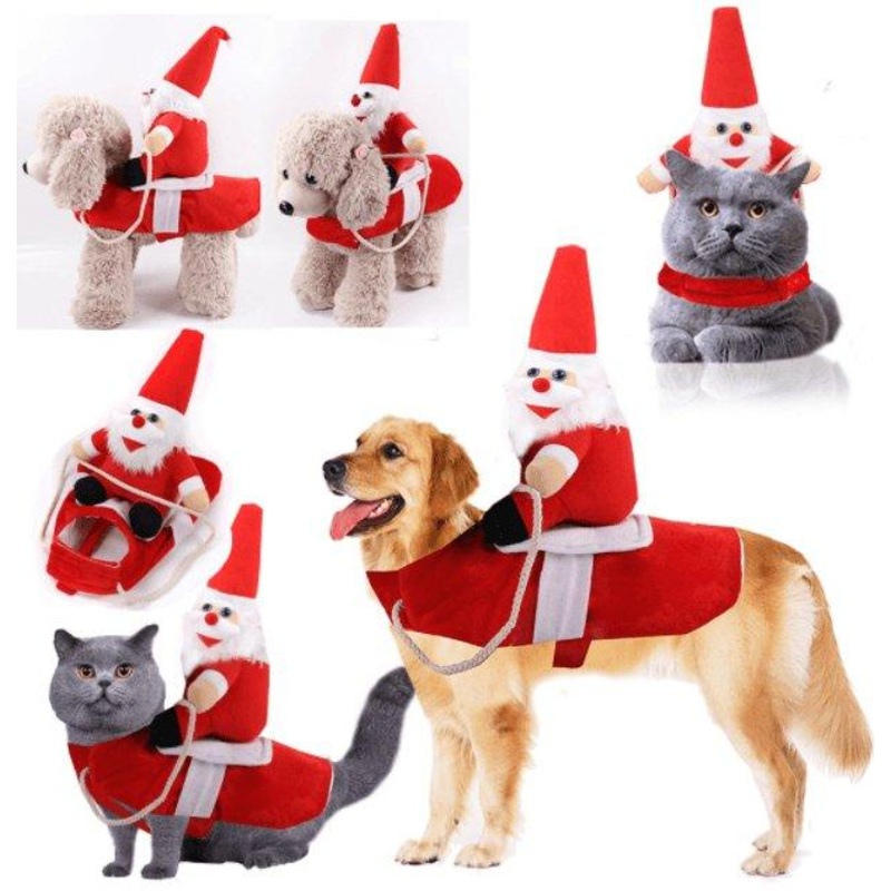 Cozy Paws Winter Pet Apparel: Stylish And Warm Clothes For Dogs And Cats