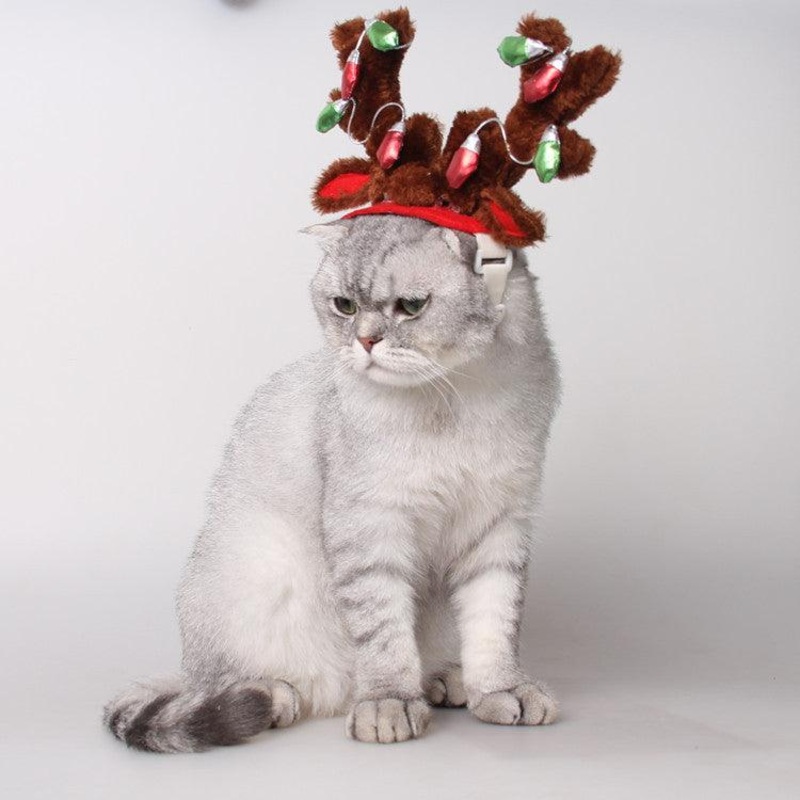 Festive Reindeer Pet Hairpin: The Perfect Christmas Accessory For Dogs And Cats
