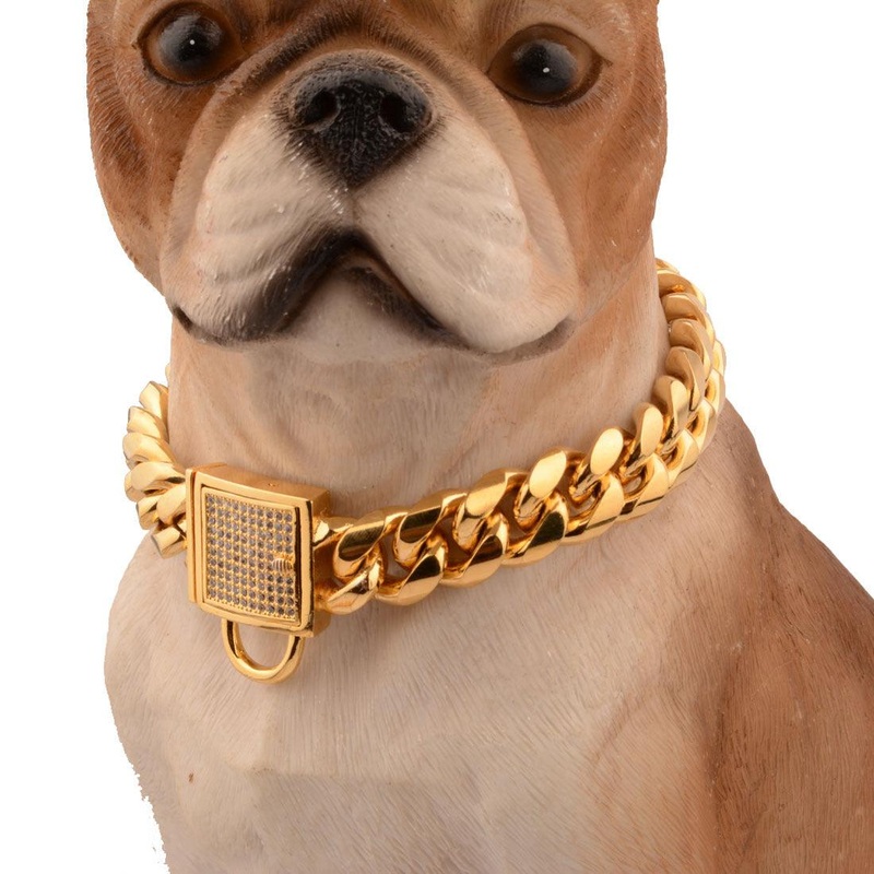 Golden Titanium Steel Encrypted Chain