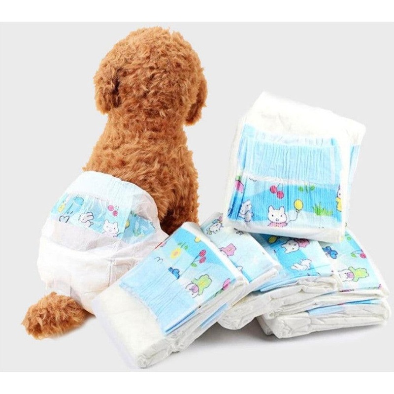 Pet Comfort Diapers: The Perfect Solution For Your Furry Friend's Needs
