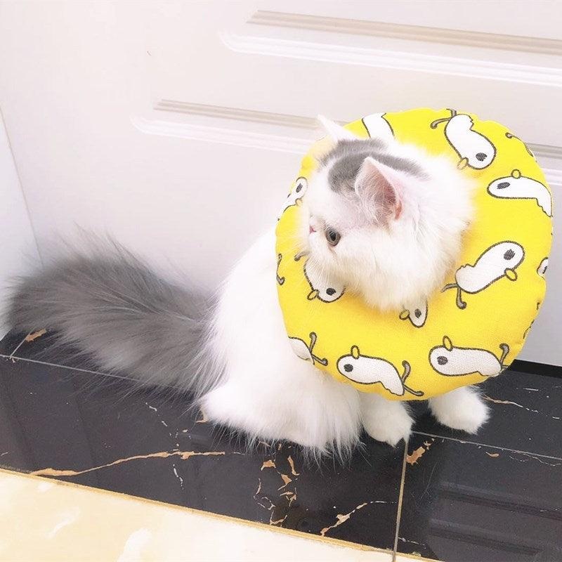 Protective Comfort Collar