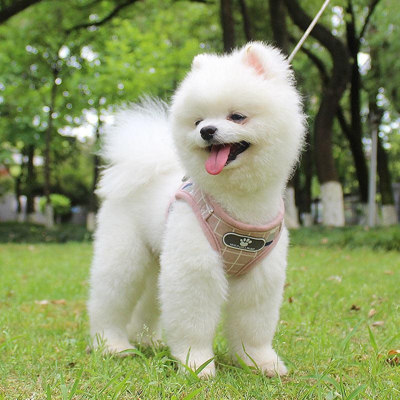 Reflective Nighttime Dog Leash With Stylish Design