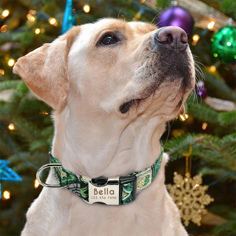 Reflective Wave Point Dog Collar: High Visibility, Adjustable, And Stylish