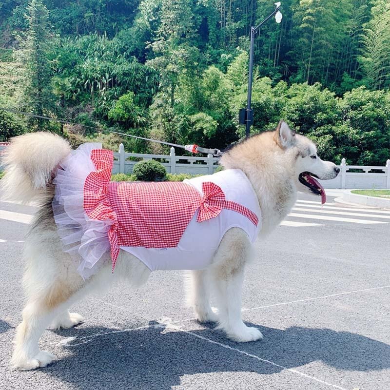 Regal Canine Couture: Plaid Princess Dog Costume For Labrador, Golden Retriever, And Big Dogs