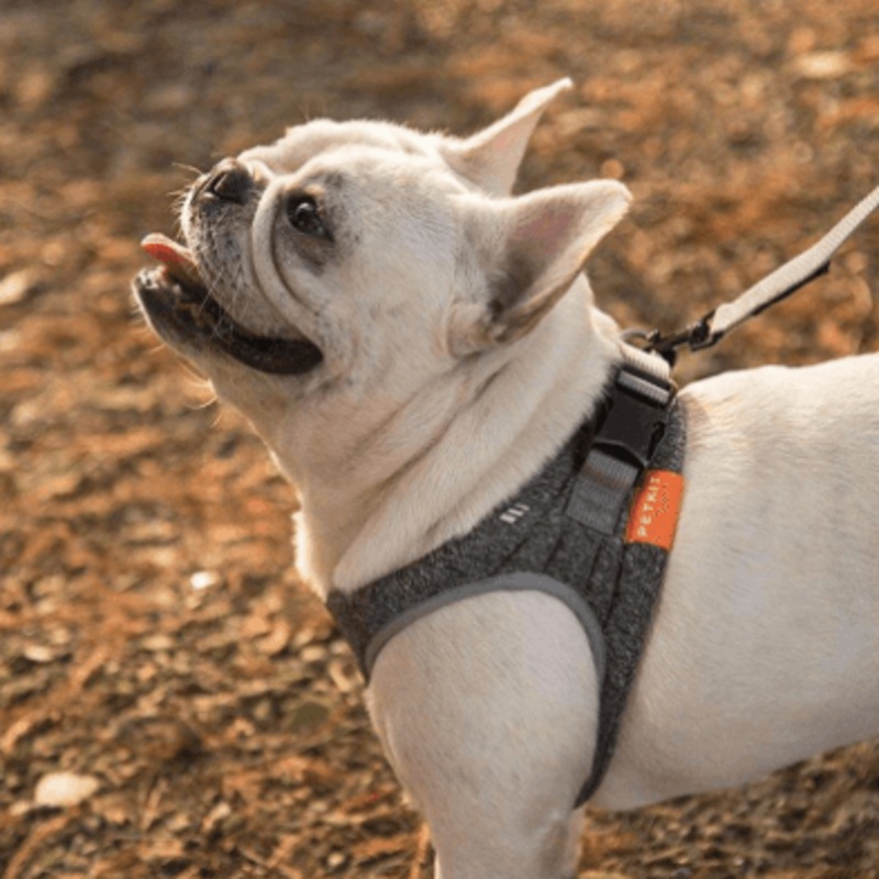 Stylish Rope Leash With Adjustable Size And Carabiner Attachment