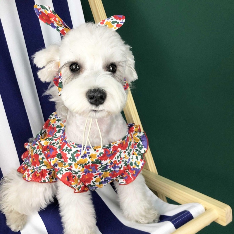 Summer Breeze Dog Dress: Stylish And Lightweight Pet Clothes For Small Dogs