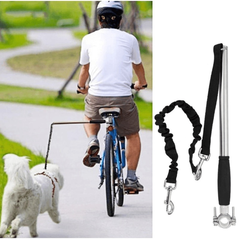 Ultimate Hands-Free Dog Walking Solution