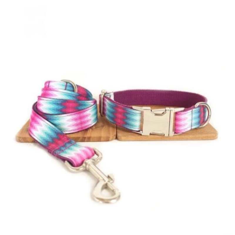 Vibrant Ribbon Traction Set For Patterned Dog Collars