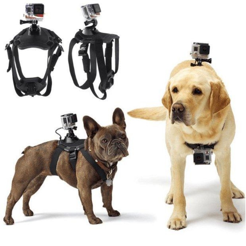 Adventure Paws Camera Mount Harness For Dogs