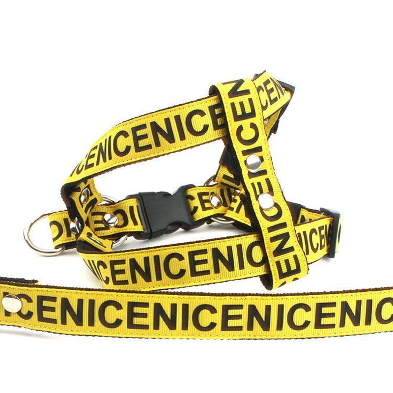 Adventure Paws Nylon Pet Leash And Collar Set