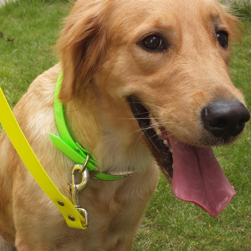 Dirty-Resistant Tpu Pet Collar With Festive Colors And Patterns