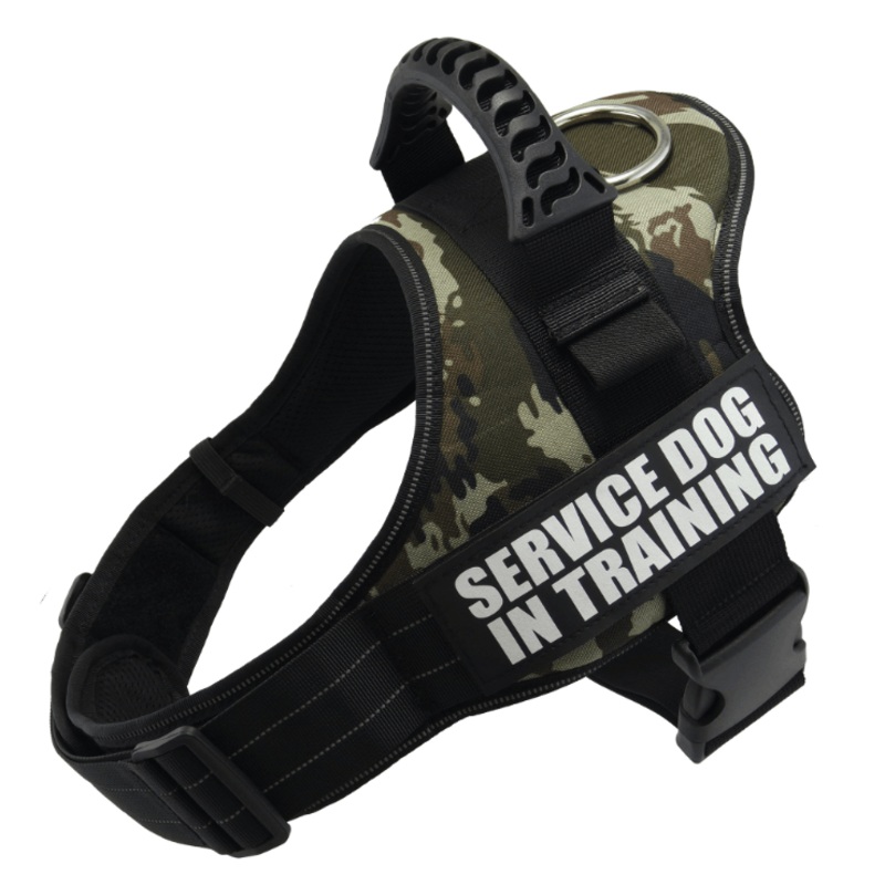 Explosafe Pet Leash: The Ultimate Safety Harness For Your Furry Friend