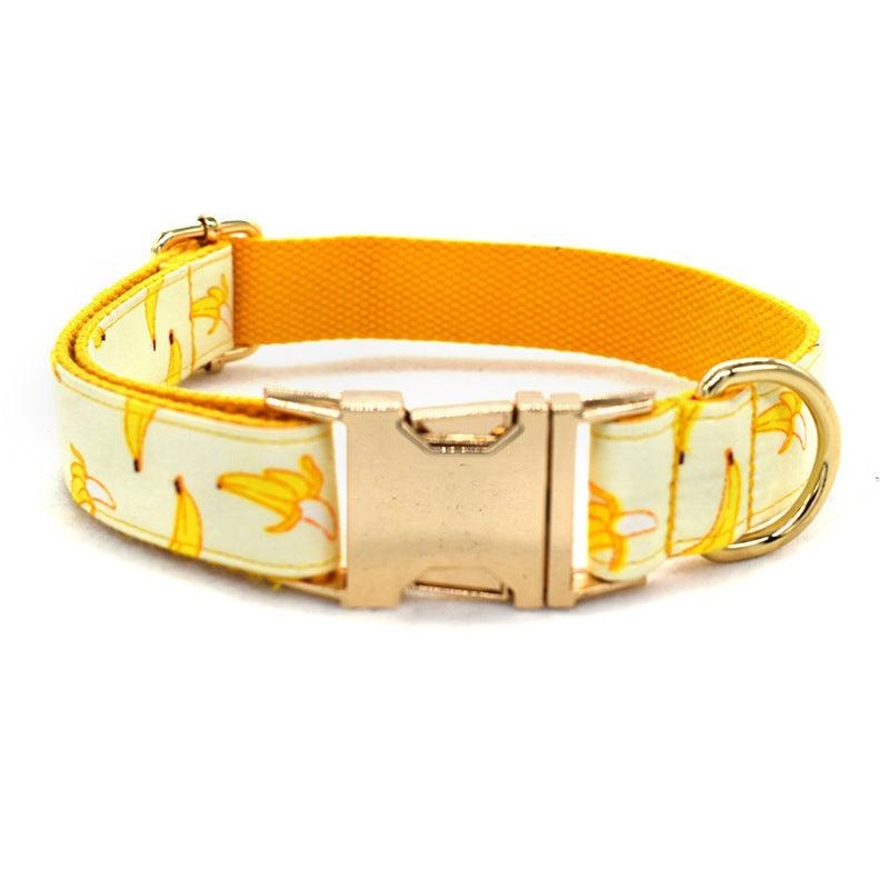 Fruitful Adventures Dog Leash Pet Collar