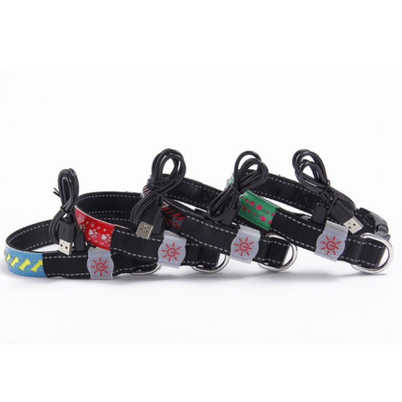 Glowing Paws Led Pet Collar